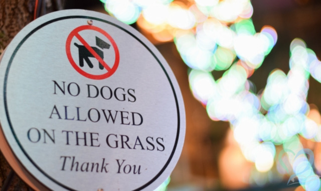 犬の散歩禁止の看板