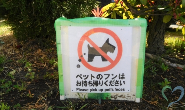 犬のフンここは禁止