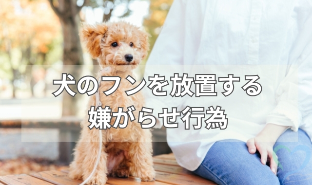 犬のフン放置の嫌がらせ