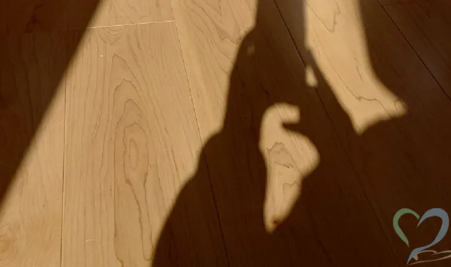 ストーカーの影