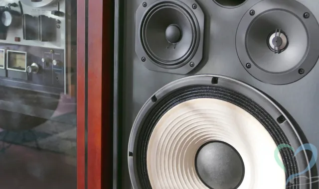 重低音を響かせるスピーカー