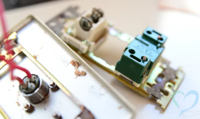 コンセントの裏に仕込まれていた