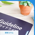 ガイドラインの文字