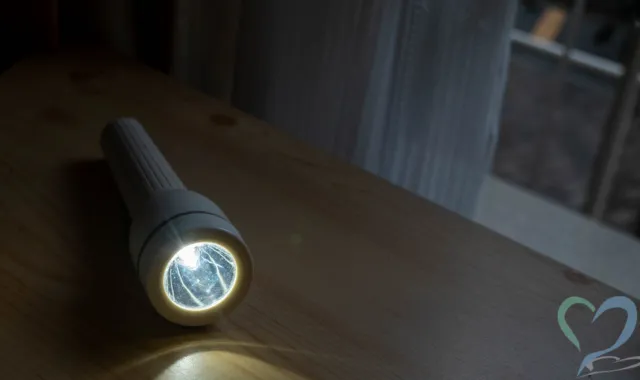 懐中電灯での発見