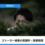 影からのぞくストーカー