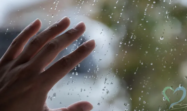 窓からのぞくストーカー