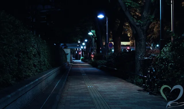 暗い夜道