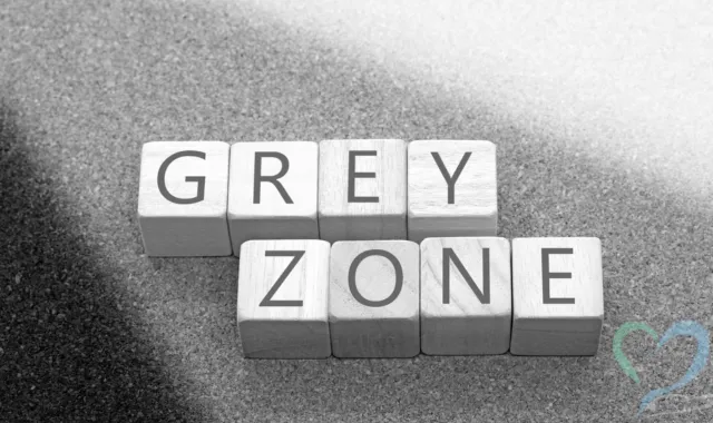 GRAY ZONE