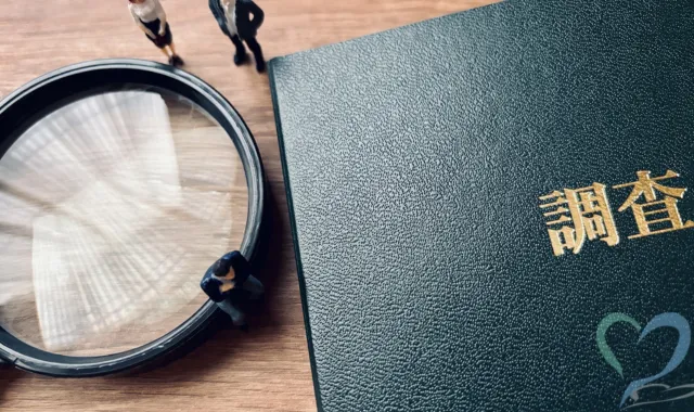 調査ファイル